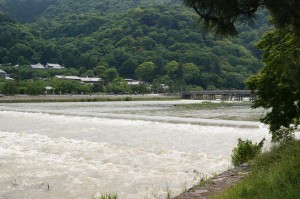 SONY DSC