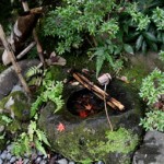 IMG_5462[1]