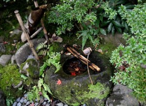 IMG_5462[1]