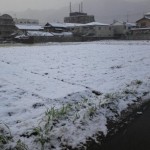 雪