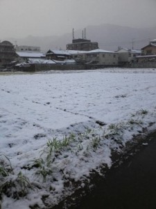 雪
