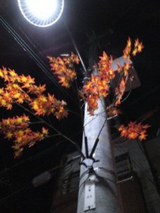 電柱
