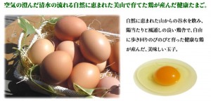 egg1-top